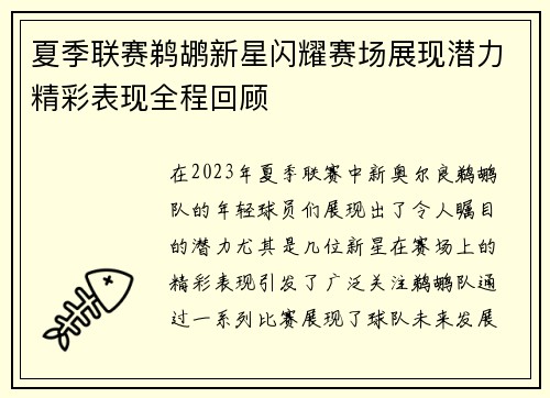 夏季联赛鹈鹕新星闪耀赛场展现潜力精彩表现全程回顾